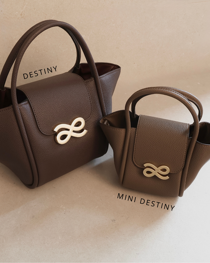 Destiny - PU